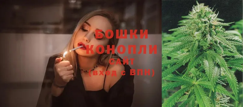 Марихуана SATIVA & INDICA  Бежецк 